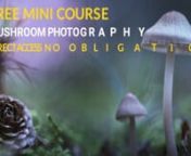 Discover the magic of mushroom photographynSubscribe to our newsletter and get direct access our free mini course &#39;Mushroom and Macro Photography&#39; nn� As a BONUS, you&#39;ll receive an EXCLUSIVE DISCOUNT CODE for our Masterclass in Mushroom Light Painting Photography! � Magical glowing mushroomsnnhttps://www.subscribepage.com/free_mini_course_mushroom_photography