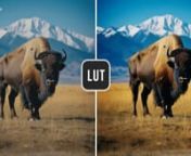Free LUT Agfa Ultra 100 - https://www.freepresets.com/product/free-lut-agfa-ultra-100-lookup-table/nnPRO LUTs - https://www.presetpro.com/product-category/color-grading-luts/nnDownload the Free LUT “Agfa Ultra 100” Lookup Table. Enhance your video and photo editing projects with the &#39;Agfa Ultra 100&#39; LUT, available for free download now. This expertly designed Lookup Table is inspired by the classic Agfa Ultra Film, renowned for its vivid and impactful color profile. Embrace the dramatic and