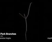 A series of branches found arbitrarily laying on the ground in High Park, Toronto, after various wind storms during the fall/winter of 2023/2024. I then modelled them in Blender using a Python script to fill out the forms. These models are then used as material for the the same software I wrote (using C++ and Open Frameworks) for the &#39;Custom Catastrophe&#39; interactive installation presented at Nuit Blanche North 2023. This new installation was created for the show &#39;what&#39; presented during April 12-