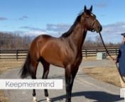 Keepmeinmind, whose prowess on the track first brought sire Laoban to the national forefront, and GI Breeders&#39; Cup Juvenile Turf Champion and Eclipse Finalist Fire At Willjoin Honest Mischief, Freud and Mission Impazible at Sequel New York&#39;s stallion roster, bringing diverse and interesting options for Thoroughbred breeders in the Empire State