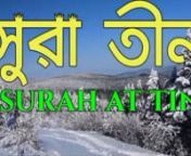 নামাজের ছোট সুরা( سورة التين) Surah Tin Bangla / সুরা তীন বাংলা / Quran Tilawat