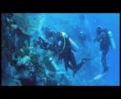 Diving video from a 2011 trip to Hurghada Egypt.nnVideo was shot using a Sanyo Xacti HD2000 in an Epoque housing with the DCL-20 lens.