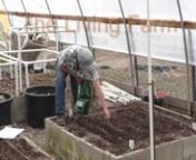 This week learn from Lynn about cabbage loopers and it&#39;s time to feed the garden again!nnnWhat Can I Plant Today? (scroll down)https://thelivingfarm.org/high-performance-garden-show/nnnEasy PVC Trellising system:https://thelivingfarm.org/project/tomato-trellis/nnnEnroll in the High Performance Garden Show (https://thelivingfarm.org/high-performance-garden-show/) to watch over 160 weekly episodes where Lynn Gillespie will demonstrate how she consistently creates over &#36;2500 worth of organic food i