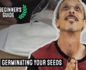 Find out how to germinate cannabis seeds using tried and tested methods with this handy video guide from master grower Kyle Kushman. You can trust that Kyle Kushman knows the best way to germinate cannabis seeds, having been in the industry for almost three decades! There are many different methods to germinate cannabis seeds, but this guide is here to help you understand how to germinate marijuana seeds the Homegrown way, the Kyle Kushman way.nnIf you’re stuck figuring out how to germinate we