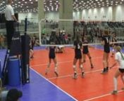 2009 Austin Performance 16-1 Black Mamba volleyball team.Dedicated in memory of teammate Halle Brent who defined