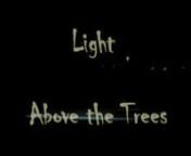 ´´Light above the trees ´´ is thetitle made by Keiko Matsui.