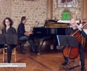 2020 -10 - MDC C1 - Trio Picasso - Danse hongroise n°3 - Johannes Brahms from danse hongroise n 3