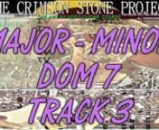 For more info please visit ... https://crimsonstoneproject.com/nnThe Backing Tracks In This Section Are Grouped Together By The Chord Types They Showcase And Progress In The Same Order That The Chords In The Frameworks Section.nnEach backing track in this course is prefaced with a detailed but easy to follow harmonic analysis. This way you&#39;ll understand exactly what makes the piece function the way that it does. This means you&#39;re not just learning a new jam, your also learning the logic behind h