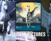 TriStar Pictures Logo History from brazil h