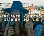What’s up everybody, it’s your girl Jess, and this is Kushstock Festival 2021, in review.nnIt’s time for Kushstock Festival 2021, and as I weave through traffic, emerging from the aftermath of a pandemic, I’m not sure exactly what to expect, but I’m eager to arrive.nnSome of the hottest names in cannabis are here, including Tommy Chong, Medicated Barbies, Stiiizy, Rove, XVAPE, High Season, and Lavender Boys, just to name a few; the competition is hot. With VIP access, you have the oppo