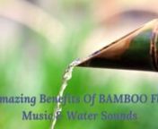 #asmr #relax, #sunskyrainmoon, #blackscreen #sleep #bambooflute #blackscreennn⚠️ Special Offer: Message from the Universe:https://bit.ly/33I7qjw (limited time offer)nn� Bamboo Flute Music - 5 Amazing Benefits Of Flute Music For Meditationn1. Improves Body Coordinationn2. Strengthens Core Musclesn3. Develops Self-Confidencen4. Cultivates Disciplinen5. Relieves StressnFlute music weaves a magical and enchanting web of its own. The moment you begin to listen to it, you will feel a sense of