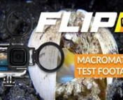 Stunning underwater macro footagenThe design team at Backscatter spent more than a year perfecting the ultimate macro lens for GoPro. Watch this video to see razor-sharp macro images and open a new door on your GoPro creativity. nnPrecision optical glass and aluminum constructionnDon&#39;t be fooled by imitations. The +15 MacroMate Mini follows a 17-year product design of premium underwater optics and rugged construction. No plastic mounts to break and only the highest grade multi-element optics rec
