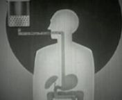 So... I never made a video for the hardcover edition back in 2007, but since MILK EGGS VODKA has been re-released in paperback I figured I better get to it. This one&#39;s an experiment in re-use. I edited public domain Prelinger Archive footage from 1950s educational videos, the soundtrack is a song written for &#36;5, and the lists are from my collection.nnAbout MILK EGGS VODKA: The book is a compilation of abandoned grocery lists that have been discovered in grocery carts, market floors, and parking