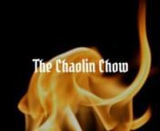 The Chaolin Chow from chaolin
