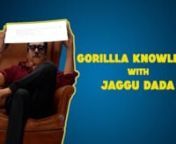 Gorilla Knowledge with Jaggu Dada from jaggu dada