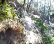Mountain Biking the 2nd Loop on Rollercoaster at Alafia State Park last weekend (Front and Rear camera views).