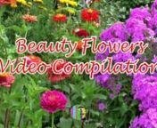beauty flowers no copyright video - free background video - background video bunga gratis, flowers blooming, flowers blooming time lapse, flowers blooming time lapse with music,nnTip:nBTC(BEP2): bnb136ns6lfw4zs5hg4n85vdthaad7hq5m4gtkgf23 Memo: 107157964nDOGE: D7iEyvzUHxmgkJ6r4JHqRT4aNRq345Amr9nUSDT(TRC20): TKtZTdFULNAEcL4SdUMhssneAEhSQ529brnBIDR(BEP2): bnb136ns6lfw4zs5hg4n85vdthaad7hq5m4gtkgf23 memo: 107157964nnnnflowers blooming aesthetic,nflowers bloom bloom and share your sweet perfume lyrics