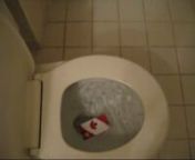 In accordance to the Right Honourable Major Nourhaghighi Lawsuits the Canada Flag symbol of Canadians&#39; Frauds, Crimes &amp; ViolationsnnToronto Police agents Michael Guerrero &amp; Chia-Rhun Kwa have committed sabotages in this toilet to cause exessive street for Prosecutor Major Nourhaghighi in Trail against CSIS&#39;s members Steward Mardiran