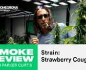 The Strawberry Cough strain is one of 420s most revered and well-respected cultivars. It was popularised by our very own Kyle Kushman, who teamed up with Parker Curtis to deliver this hugely enjoyable Strawberry Cough strain review.nnAnd what’s so special about this particular batch of Strawberry Cough? It was grown in the Homegrown Garden, using Homegrown seeds and Homegrown’s Organic nutrients. These results are exactly what you can achieve at home!n nBut why is Strawberry Cough so popular