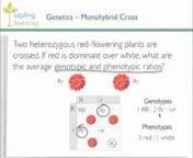 This lesson will explain basic genetics vocabulary and how to predict both monohybrid and dihybrid crosses.