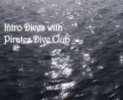 There&#39;s no better way to see the beautiful marine life of the Red Sea than by trying out your very first &#39;Intro Dive&#39; with Pirate&#39;s Dive Club in Sharm el Sheikh, Egypt.nnFriendly experienced guides and instructors, stunning dive sites, and the chance to star in your very own dive movie filmed and edited by Blue Eye FX Productions!