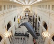 During the summertime the Field Museum opens its world class natural history and cultural collections and laboratories to over one hundred interns.nnLearn more about what is available and how to join us this year at http://fieldmuseum.org/about/research-scholarships-and-grants