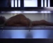 This film is a real one of a kind. UK scientist thinks he&#39;s discovered the secrets of Egyptian mummy making, but needs a subject to prove his theories with - enter Alan, terminally ill taxi driver from Torquay who volunteers his remains upon his dying. The 2011 TV broadcast caused a sensation in the UK, and in 2012 the film went on to win the Royal Television Society award for best Science programme, beating the BBC&#39;s mighty &#39;Frozen Planet&#39; in the process.nnDespite its graphic imagery, the film