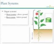 After this lesson you will be able to identify major systems in plants. You will also be able to describe the interactions that occur among these systems to carry out vital plant functions.