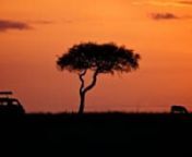I had one major goal before embarking on this journey: to capture the quintessential African, sun filling frame, Lion King-esque sunset. I will never forget that third evening in Masaai Mara, Mike Gaudaur speeding along the dirt trails in the luxurious yet rugged Prado chasing the sunset as we climbed to a hilltop. At 400mm, with a bean bag stabilizing the largest lens I&#39;ve ever strapped to my camera, my heart raced and my hands shook in pure excitement. It was perfection. Definitely top 5 most