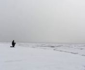 This video is shot on the ice floe near Byllot Island, Pond Inlet on Baffin Island in Canada. The photographer is trying to get a bit closer with the bowhead who is peaking trough the ice while catching a breath so it can continue feeding below the ice. Amazing to hear the sound of the breathing.... you could even smell it&#39;s breath! Quite fishy even ;)nShot during an Arctic expedition with www.classetouriste.benSee more at : http://www.classetouriste.be/arctic-kingdom-canada/