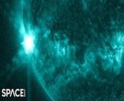 NASA Solar Dynamics Observatory captures sunspot AR3341 blast a powerful X1.1 solar flare.&#60;br/&#62;&#60;br/&#62;Credit: Space.com &#124; footage courtesy: NASA/SDO &#124; edited by Steve Spaleta&#60;br/&#62;Music:All Parts Equal by Airae/ courtesy of Epidemic Sound