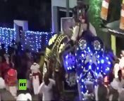 An elephant taking part in a Buddhist pageant in Sri Lanka has run berserk, injuring at least 18 people.
