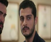 WILL BARAN AND DILAN, WHO SEPARATED WAYS, RECONTINUE?&#60;br/&#62;&#60;br/&#62; Dilan and Baran&#39;s forced marriage due to blood feud turned into a true love over time.&#60;br/&#62;&#60;br/&#62; On that dark day, when they crowned their marriage on paper with a real wedding, the brutal attack on the mansion separates Baran and Dilan from each other again. Dilan has been missing for three months. Going crazy with anger, Baran rouses the entire tribe to find his wife. Baran Agha sends his men everywhere and vows to find whoever took the woman he loves and make them pay the price. But this time, he faces a very powerful and unexpected enemy. A greater test than they have ever experienced awaits Dilan and Baran in this great war they will fight to reunite. What secrets will Sabiha Emiroğlu, who kidnapped Dilan, enter into the lives of the duo and how will these secrets affect Dilan and Baran? Will the bad guys or Dilan and Baran&#39;s love win?&#60;br/&#62;&#60;br/&#62;Production: Unik Film / Rains Pictures&#60;br/&#62;Director: Ömer Baykul, Halil İbrahim Ünal&#60;br/&#62;&#60;br/&#62;Cast:&#60;br/&#62;&#60;br/&#62;Barış Baktaş - Baran Karabey&#60;br/&#62;Yağmur Yüksel - Dilan Karabey&#60;br/&#62;Nalan Örgüt - Azade Karabey&#60;br/&#62;Erol Yavan - Kudret Karabey&#60;br/&#62;Yılmaz Ulutaş - Hasan Karabey&#60;br/&#62;Göksel Kayahan - Cihan Karabey&#60;br/&#62;Gökhan Gürdeyiş - Fırat Karabey&#60;br/&#62;Nazan Bayazıt - Sabiha Emiroğlu&#60;br/&#62;Dilan Düzgüner - Havin Yıldırım&#60;br/&#62;Ekrem Aral Tuna - Cevdet Demir&#60;br/&#62;Dilek Güler - Cevriye Demir&#60;br/&#62;Ekrem Aral Tuna - Cevdet Demir&#60;br/&#62;Buse Bedir - Gül Soysal&#60;br/&#62;Nuray Şerefoğlu - Kader Soysal&#60;br/&#62;Oğuz Okul - Seyis Ahmet&#60;br/&#62;Alp İlkman - Cevahir&#60;br/&#62;Hacı Bayram Dalkılıç - Şair&#60;br/&#62;Mertcan Öztürk - Harun&#60;br/&#62;&#60;br/&#62;#vendetta #kançiçekleri #bloodflowers #urdudubbed #baran #dilan #DilanBaran #kanal7 #barışbaktaş #yagmuryuksel #kancicekleri #episode28