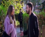 WILL BARAN AND DILAN, WHO SEPARATED WAYS, RECONTINUE?&#60;br/&#62;&#60;br/&#62; Dilan and Baran&#39;s forced marriage due to blood feud turned into a true love over time.&#60;br/&#62;&#60;br/&#62; On that dark day, when they crowned their marriage on paper with a real wedding, the brutal attack on the mansion separates Baran and Dilan from each other again. Dilan has been missing for three months. Going crazy with anger, Baran rouses the entire tribe to find his wife. Baran Agha sends his men everywhere and vows to find whoever took the woman he loves and make them pay the price. But this time, he faces a very powerful and unexpected enemy. A greater test than they have ever experienced awaits Dilan and Baran in this great war they will fight to reunite. What secrets will Sabiha Emiroğlu, who kidnapped Dilan, enter into the lives of the duo and how will these secrets affect Dilan and Baran? Will the bad guys or Dilan and Baran&#39;s love win?&#60;br/&#62;&#60;br/&#62;Production: Unik Film / Rains Pictures&#60;br/&#62;Director: Ömer Baykul, Halil İbrahim Ünal&#60;br/&#62;&#60;br/&#62;Cast:&#60;br/&#62;&#60;br/&#62;Barış Baktaş - Baran Karabey&#60;br/&#62;Yağmur Yüksel - Dilan Karabey&#60;br/&#62;Nalan Örgüt - Azade Karabey&#60;br/&#62;Erol Yavan - Kudret Karabey&#60;br/&#62;Yılmaz Ulutaş - Hasan Karabey&#60;br/&#62;Göksel Kayahan - Cihan Karabey&#60;br/&#62;Gökhan Gürdeyiş - Fırat Karabey&#60;br/&#62;Nazan Bayazıt - Sabiha Emiroğlu&#60;br/&#62;Dilan Düzgüner - Havin Yıldırım&#60;br/&#62;Ekrem Aral Tuna - Cevdet Demir&#60;br/&#62;Dilek Güler - Cevriye Demir&#60;br/&#62;Ekrem Aral Tuna - Cevdet Demir&#60;br/&#62;Buse Bedir - Gül Soysal&#60;br/&#62;Nuray Şerefoğlu - Kader Soysal&#60;br/&#62;Oğuz Okul - Seyis Ahmet&#60;br/&#62;Alp İlkman - Cevahir&#60;br/&#62;Hacı Bayram Dalkılıç - Şair&#60;br/&#62;Mertcan Öztürk - Harun&#60;br/&#62;&#60;br/&#62;#vendetta #kançiçekleri #bloodflowers #urdudubbed #baran #dilan #DilanBaran #kanal7 #barışbaktaş #yagmuryuksel #kancicekleri #episode30