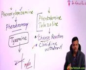 Anti adrenergicdrugs | ANS | MBBS 2nd year | pharmacology from anti home