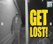 Get ready to be amazed by the latest compilation of shocking encounters captured on Ring Doorbell #19! &#60;br/&#62;&#60;br/&#62;In this riveting episode, we&#39;ve curated a collection of jaw-dropping moments caught on camera, showcasing the unexpected and sometimes downright unbelievable events that unfold when you least expect it.&#60;br/&#62;&#60;br/&#62;From bizarre visitors to spine-tingling surprises, each clip offers a glimpse into the unpredictable world captured by Ring Doorbell cameras.&#60;br/&#62;&#60;br/&#62;Join us as we delve into the captivating footage, exploring the importance of home security and the crucial role that doorbell cameras play in keeping our homes safe.&#60;br/&#62;&#60;br/&#62;Don&#39;t miss out on this opportunity to witness these astonishing moments firsthand. Hit play now and prepare to be captivated by the shocking encounters on Ring Doorbell #19!&#60;br/&#62;&#60;br/&#62;Remember to like, share, and subscribe for more incredible content like this. Stay tuned for future episodes filled with even more surprising footage!