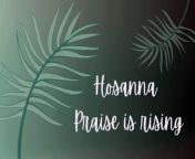 Hosanna Praise is Rising | Lyric Video | Palm Sunday from hosanna kitten