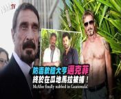 Police in Belize went to question McAfee shortly after they found his neighbor, Gregory Faull, dead from a gunshot wound to the head. They didn&#39;t find him initially because he&#39;d had buried himself under the sand in his backyard, using a piece of cardboard to help him breath. Um, what?&#60;br/&#62;&#60;br/&#62;The story just got more interesting from there. McAfee fled Belize, but not before donning various disguises and taking his 20-year-old girlfriend (he is 67) with him. While on the run McAfee crouched in closets while maintaining a blog which updated followers on his situation and attacked the police.&#60;br/&#62;&#60;br/&#62;After weeks on the lam, McAfee was accidentally exposed by Vice Magazine&#39;s editor-in-chief Rocco Castoro. You&#39;d think the kind of anti-virus software could&#39;ve protected his &#92;