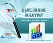 99% guaranteed SEO services firm, Ranking on Search Engine &amp; Maximize Traffic &amp; ROI!Blue Shark Solution providing SEO expert services, SEO outsourcing services and Search engine optimization expert. Search engine Optimization Company provides comprehensive best SEO consulting services.
