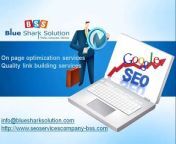 At Blue Shark Solution, Our proven SEO &amp; on-page optimization services makes your website user friendly. We know that Back Link &amp; Quality Link Building Services are important to improve and maintain the search engine rankings.&#60;br/&#62;http://www.seoservicescompany-bss.com