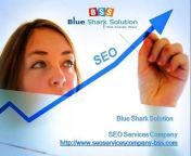 Blue Shark Solution is an experienced SEO Ranking Services provider &amp; Best SEO Company. Our Internet Marketing Services &amp; SEO Services helped many websites gain popularity in the search engines.&#60;br/&#62;&#60;br/&#62;http://www.seoservicescompany-bss.com