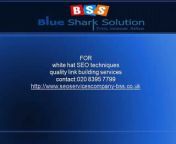 Blue Shark Solution is a top SEO Services Company in Global SEO Market. We provide a wide range of internet marketing services .&#60;br/&#62;http://www.seoservicescompany-bss.co.uk