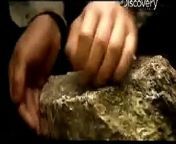 Check out Bear&#39;s Ten SCARY SURVIVAL moments: http://dsc.discovery.com/videos/man-v... &#60;br/&#62; &#60;br/&#62;Bear Grylls from Man vs Wild on Discovery Channel is lost in the Costa Rican rainforest, and shows us how to sharpen a knife using wood and rocks.