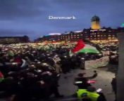 Massive demonstrations take place in Denmark in support of Palestinegaza