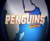 A spin-off from the Madagascar series centered on the fan-favorite penguins.