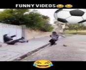 Funny videos