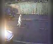 A man is caught on camera dousing a sports car in petrol and setting it alight in Dagenham, east London. Report by Conor Mcnally.