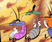 Oggy and the Cockroaches S2E20 Copy Cat from oggy and full hd cartoon movies
