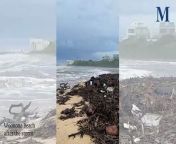Woonona Beach after the storm │ April 7, 2024 │ Illawarra Mercury from boxhaus newport beach