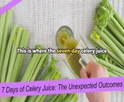 7 Days of Celery Juice The Unexpected Outcomes from juice